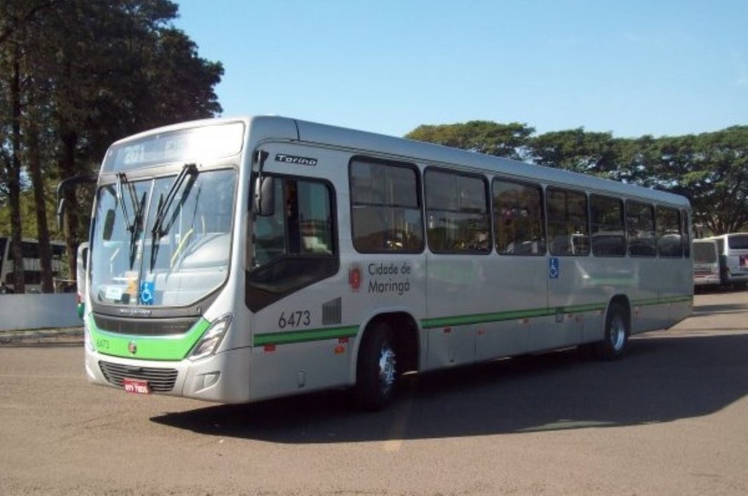onibus brasil (Medium)
