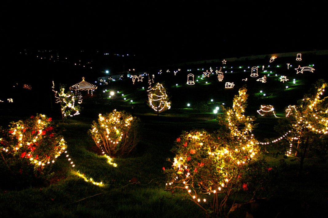 natal parque japão (Medium)