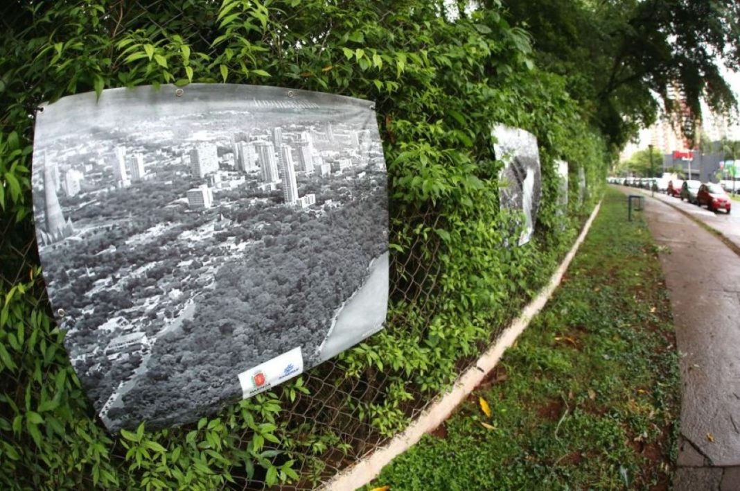 parque inga exposição (Medium)