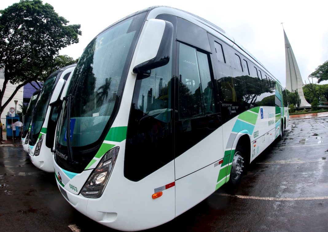novos ônibus TCCC (Medium)