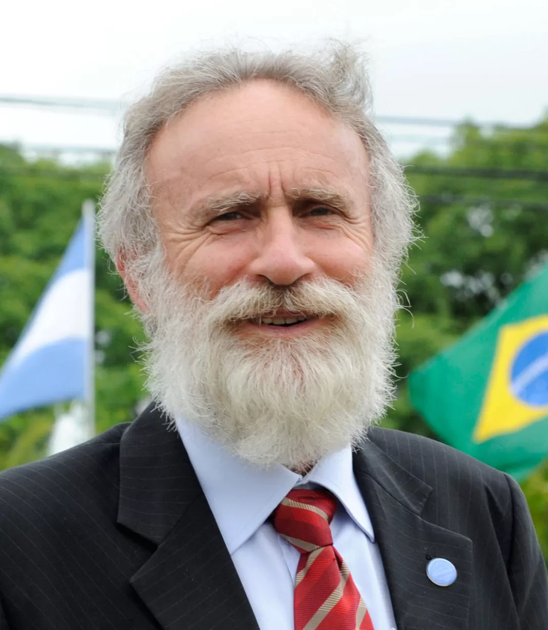 MERCOSUL - Representação Brasileira no Parlamento do MERCOSUL
