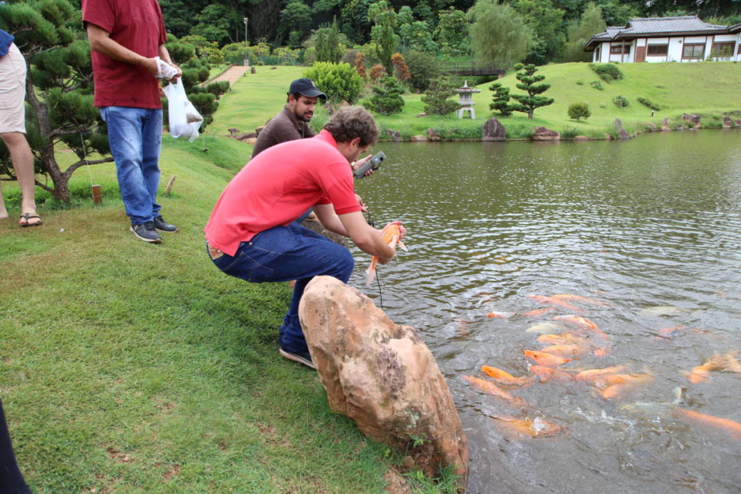 Parque do Japão