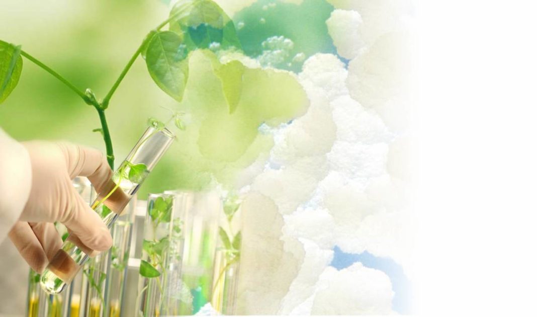 produtos naturais