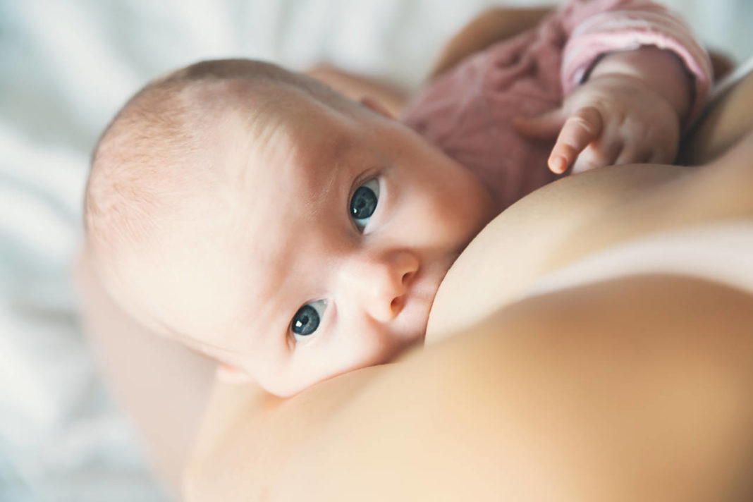 Baby eating mother's milk. Mother breastfeeding baby. As inscrições para ouvintes do curso de extensão 28ª Semana Mundial da Amamentação e 25ª Semana Maringaense de Amamentação acabam na terça-feira (11/8)