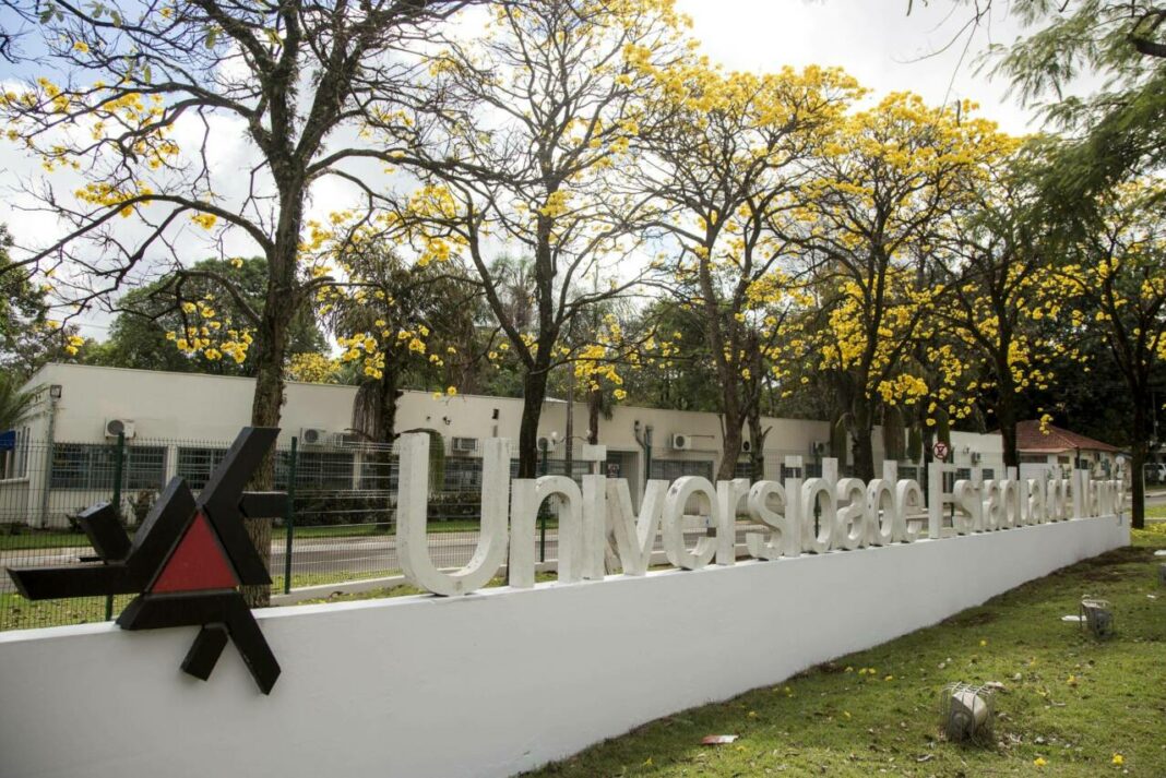 ILG vai oferecer Clube de Conversação em Inglês no segundo semestre