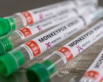vacina variola dos macacos