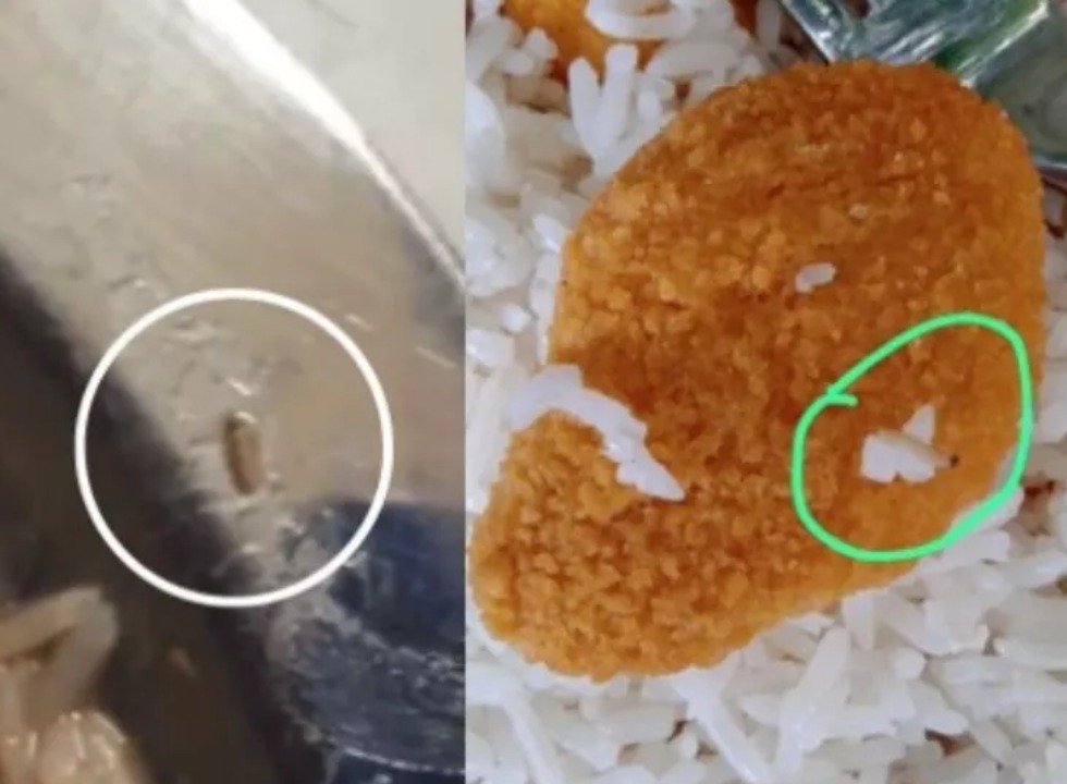 arroz com larvas