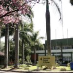 UEM