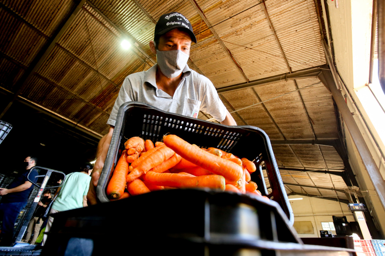 manipulação de alimentos