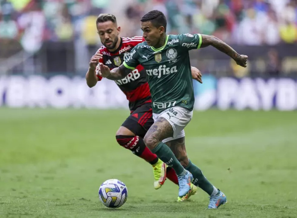 palmeiras e flamengo