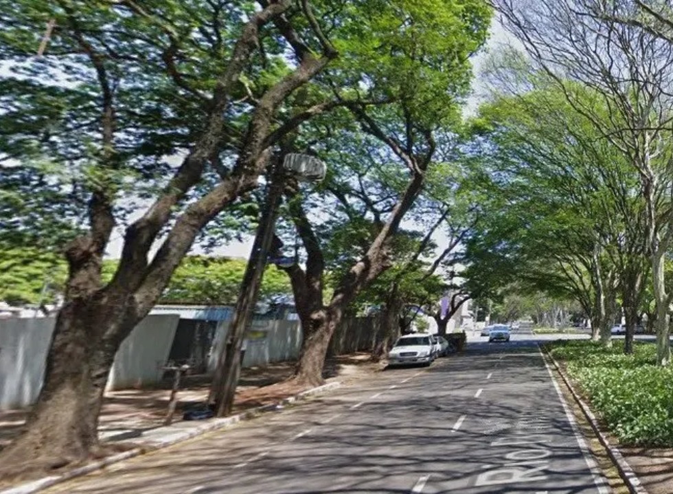 Avenida Rio Branco em Maringá