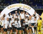 Futebol feminino ainda é predominantemente amador no Brasil