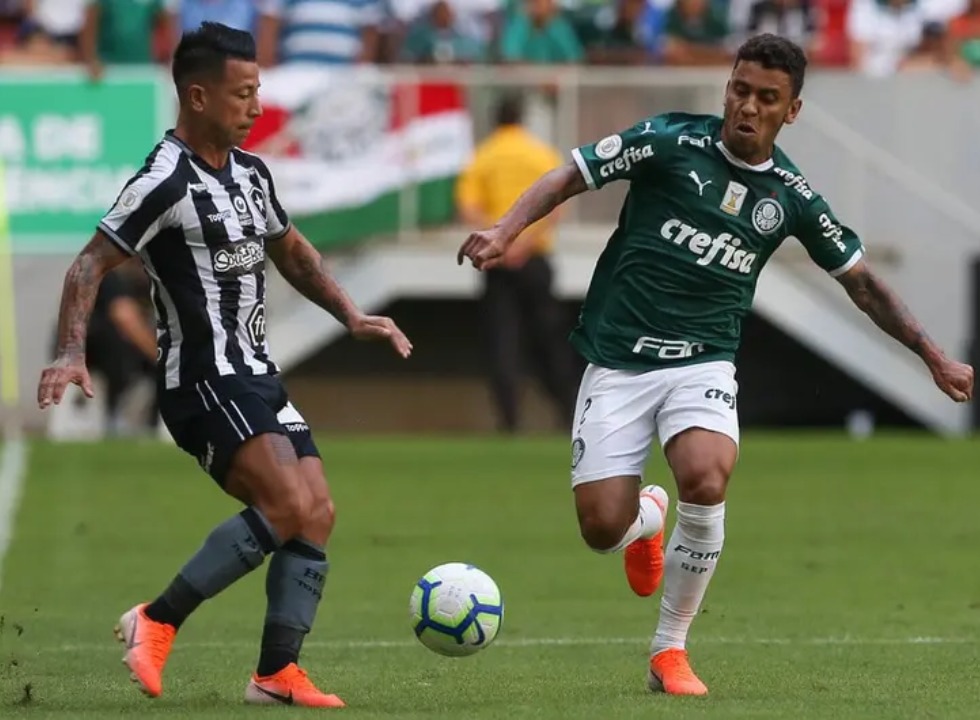Palmeiras e Botafogo