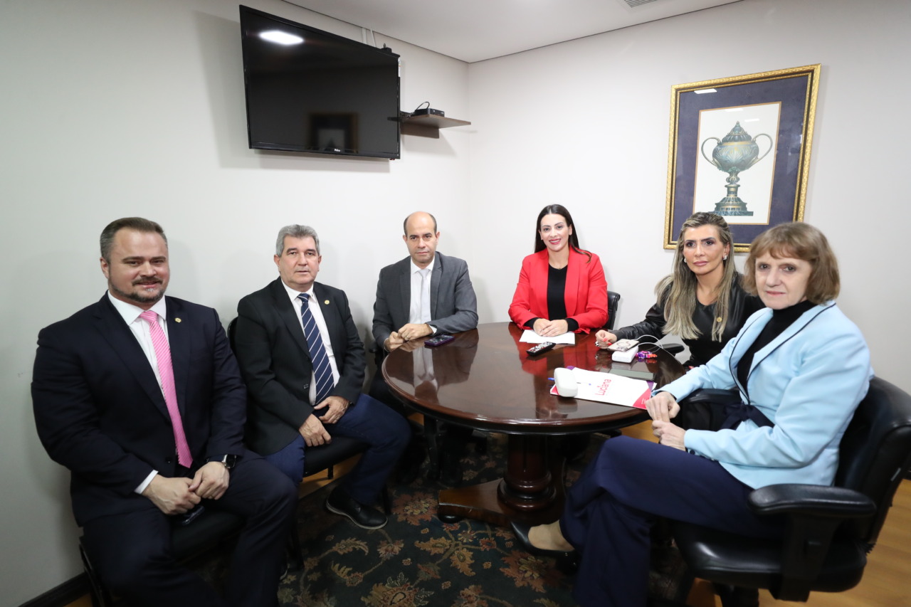 Comissão Especial - Código do Autismo do Paraná