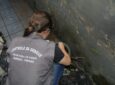 Prefeitura e Polícia Civil realizam operação contra dengue em casa abandonada na Vila Esperança