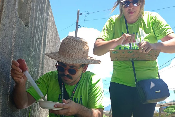 Mutirão Contra A Dengue Mobiliza Equipes Da Saúde No Litoral