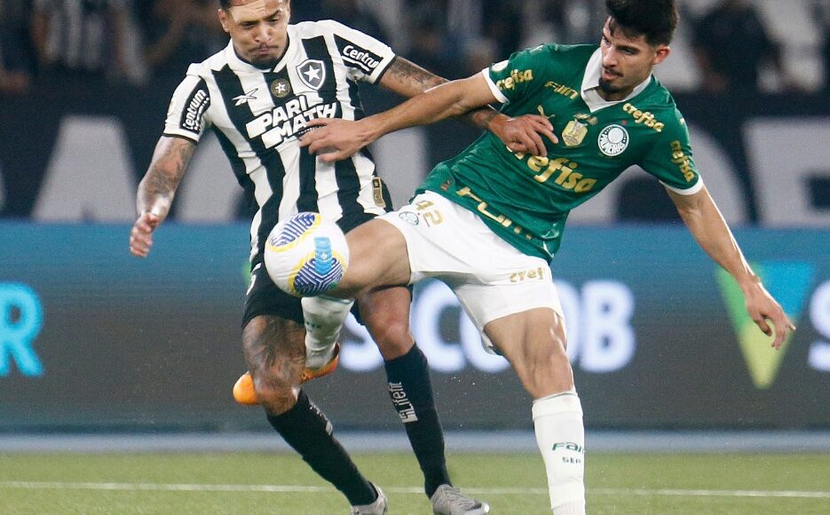 botafogo-palmeiras