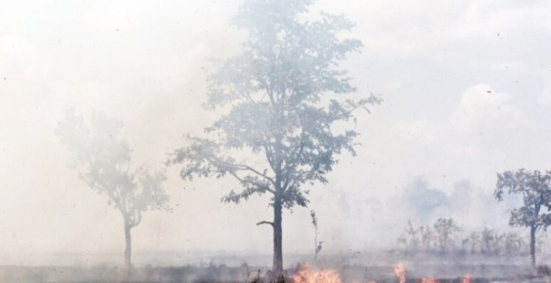 Agosto Cinza Incendio