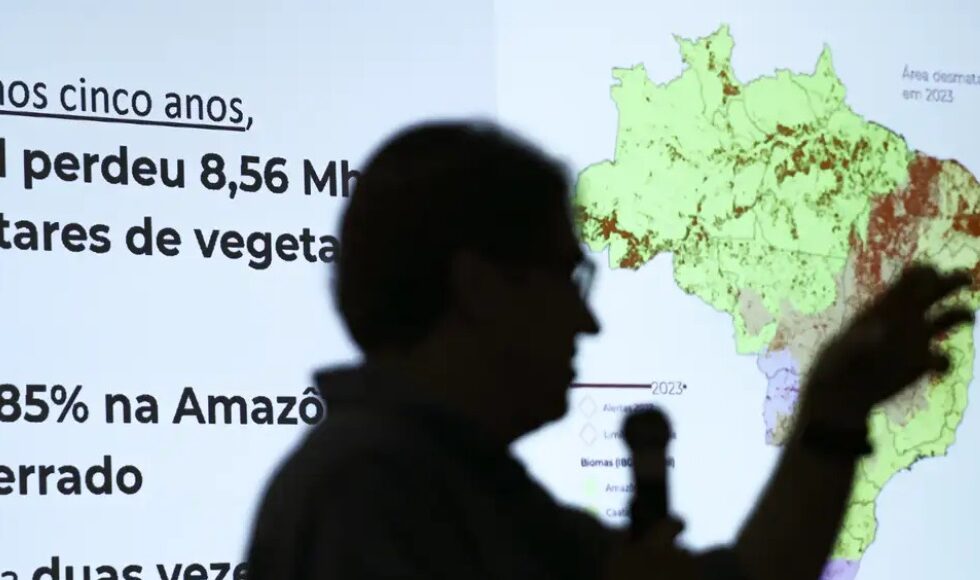 Brasil Ja Perdeu 33 Das Areas Naturais De Seu Territorio