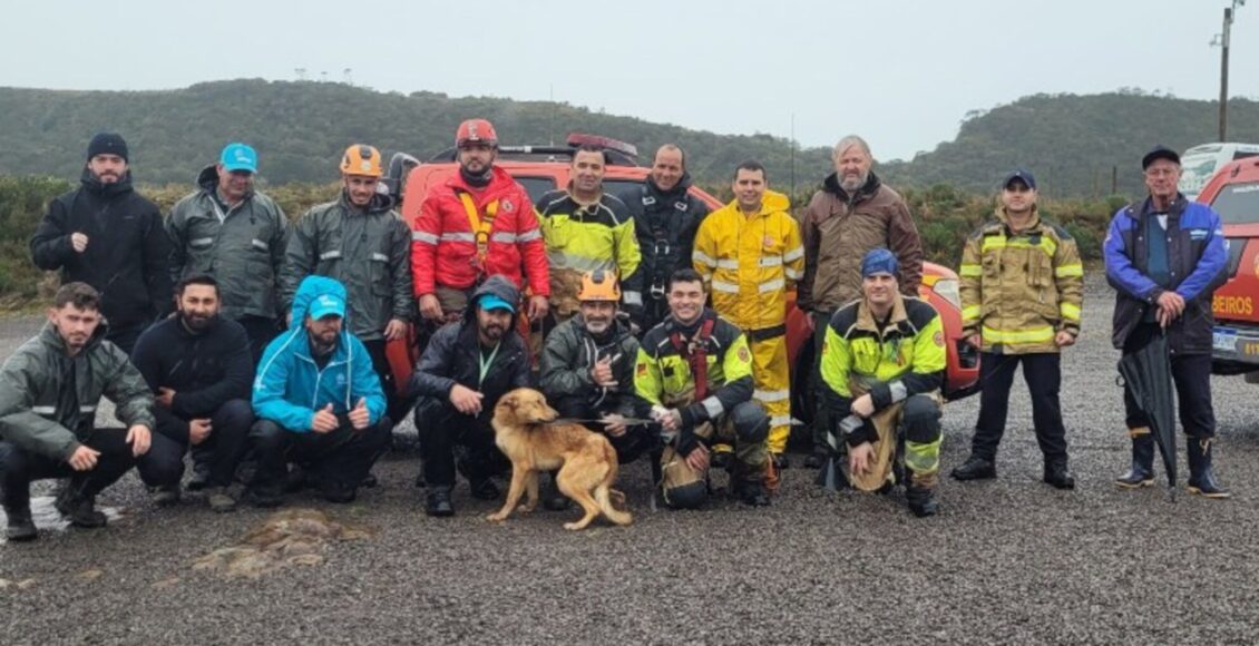 Cachorro E Resgatado Apos Mais De Duas Semanas Perdido Em Parque Nacional