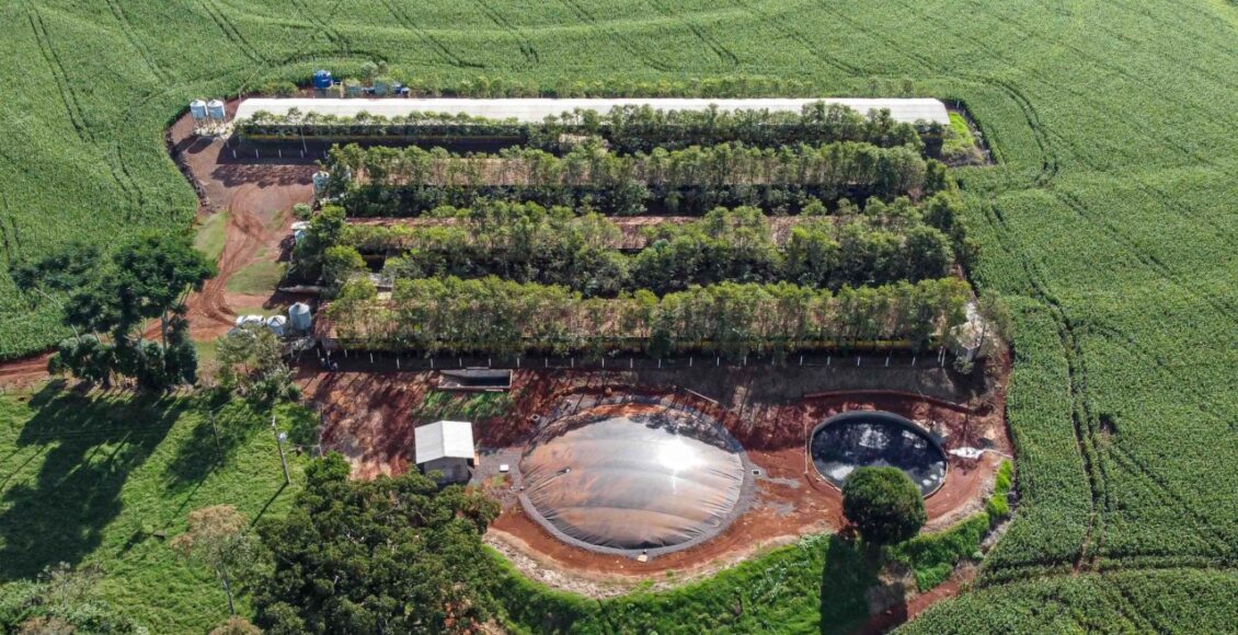 Producao Biogas Partir Suinocultura Gera Renda Extra Produtores Parana