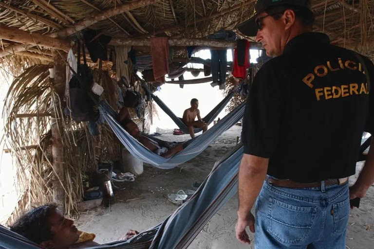 Trabalhadores Sao Resgatados Em Condicoes Analogas A Escravidao Na Maior Operacao Da Historia Do Brasil