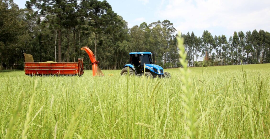 Banco Do Agricultor Paranaense Garantiu Rs 829 Milhoes Em Financiamentos