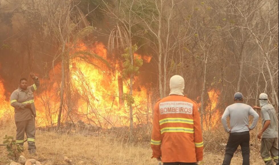 Brasil Envia Equipe De Bombeirs Para Combater Incendios Na Bolivia