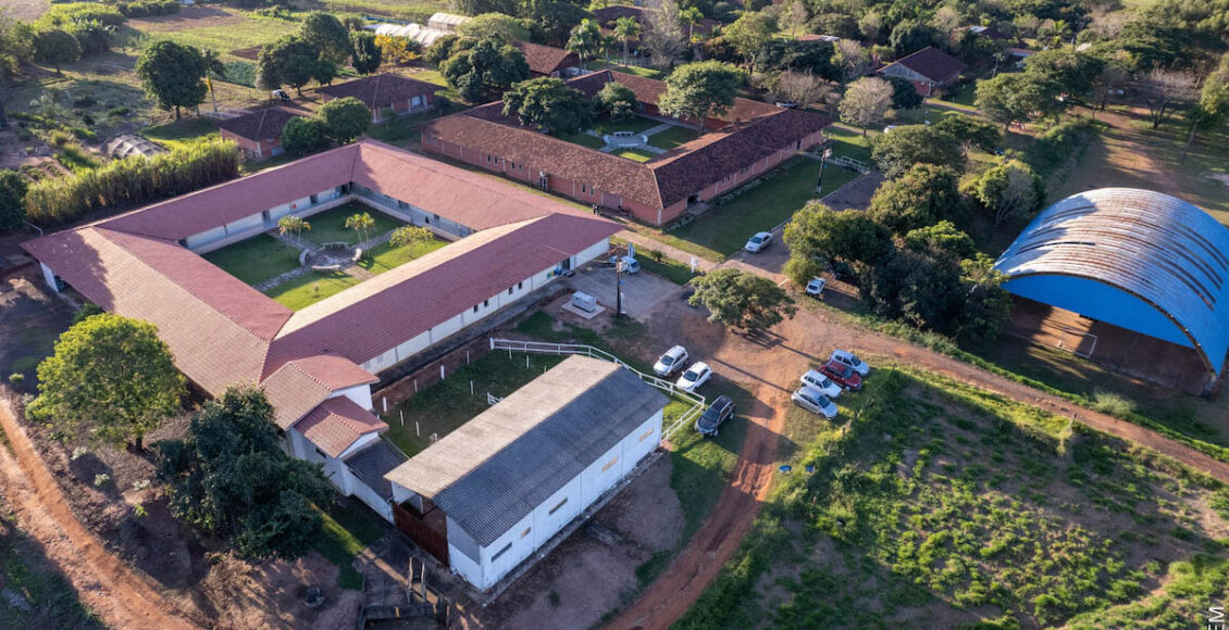 Com Mais De 16 Mil Animais Atendidos Hospital Veterinario Da Uem Celebra Duas Decadas