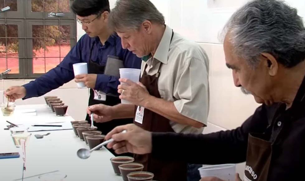 Inscricoes Para O Concurso Cafe Qualidade Parana Encerram No Dia 30 De Setembro