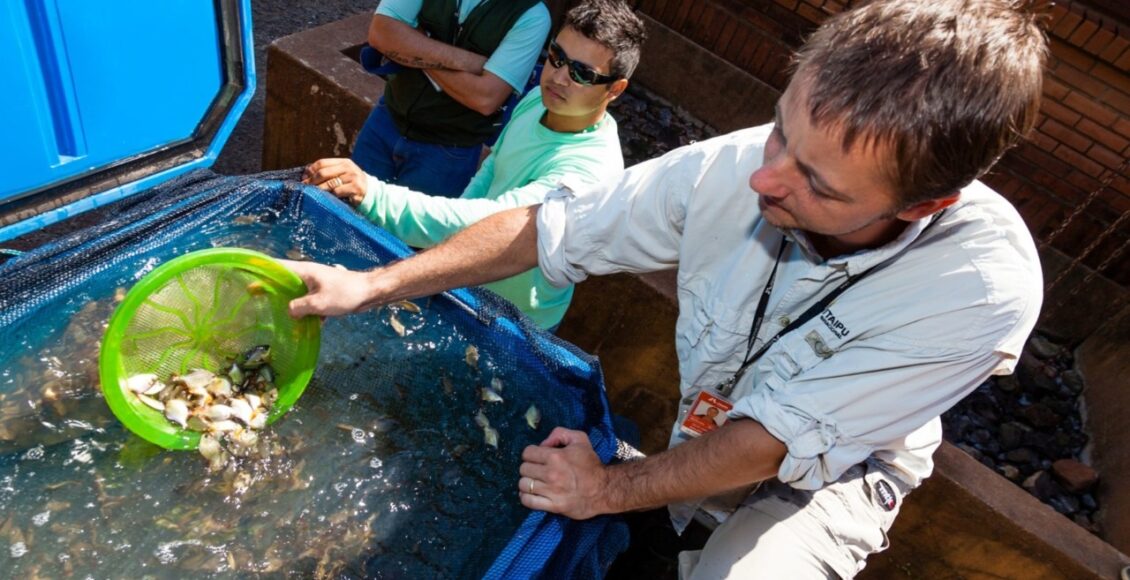 Itaipu Leva Pesquisas Sobre Agua E Pesca Ao Internacional Fish Congress 2024