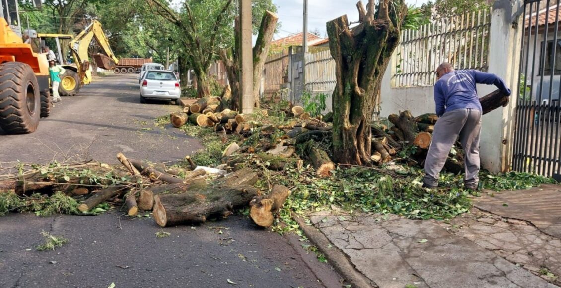 Maringa Registra 29 Ocorrencias De Quedas De Arvores Apos Fortes Ventos