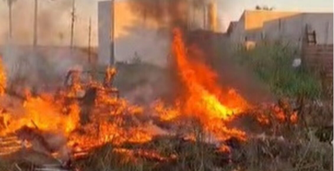 Maringa Registra Quatro Incendios Ambientais Criminosos Em Menos De Uma Semana