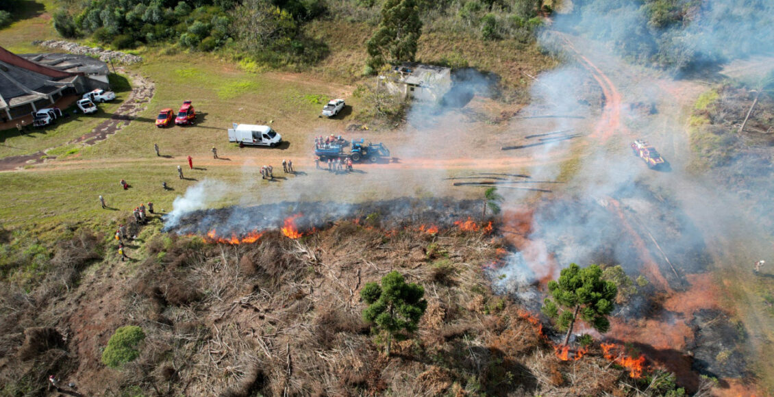 Para Prevenir Incendios Parana Suspende Por Dias Queima Controlada No Campo