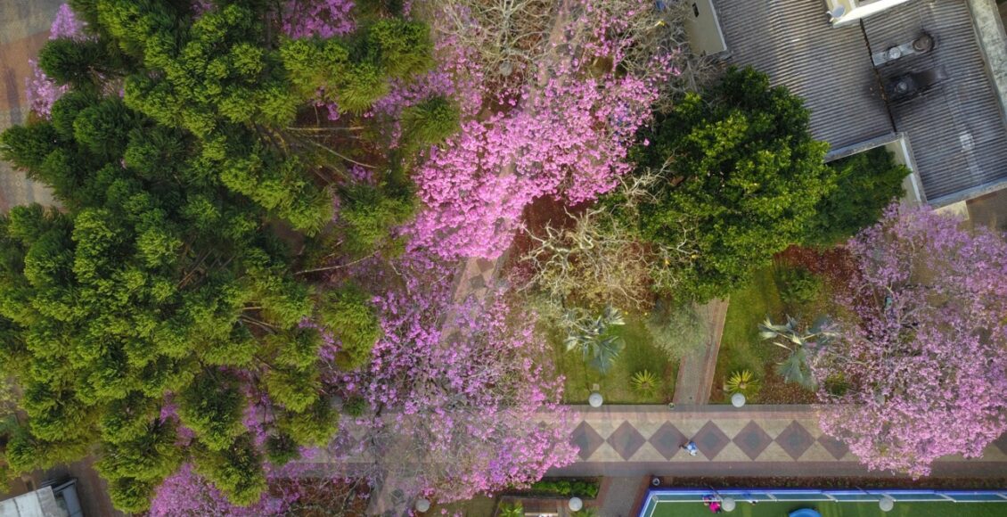 Primavera No Parana Sera Quente E Com Chuva Abaixo Da Media Historica Aponta Simepar