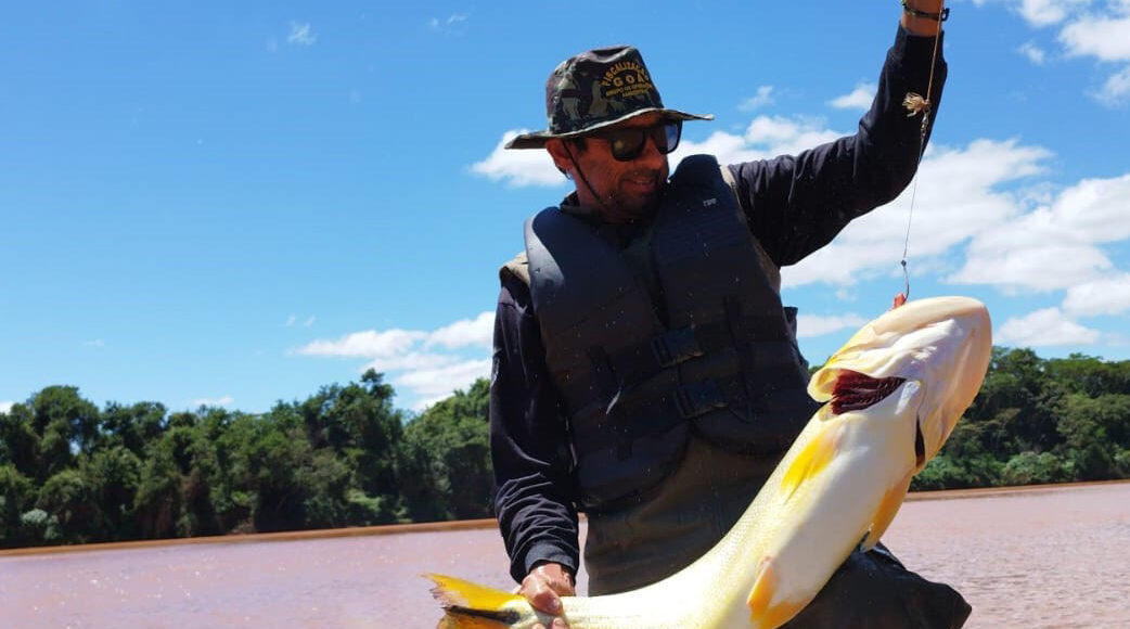 Piracema Proibicao De Pesca Predatoria Na Bacia Do Rio Parana Comeca Na Sexta Feira 1