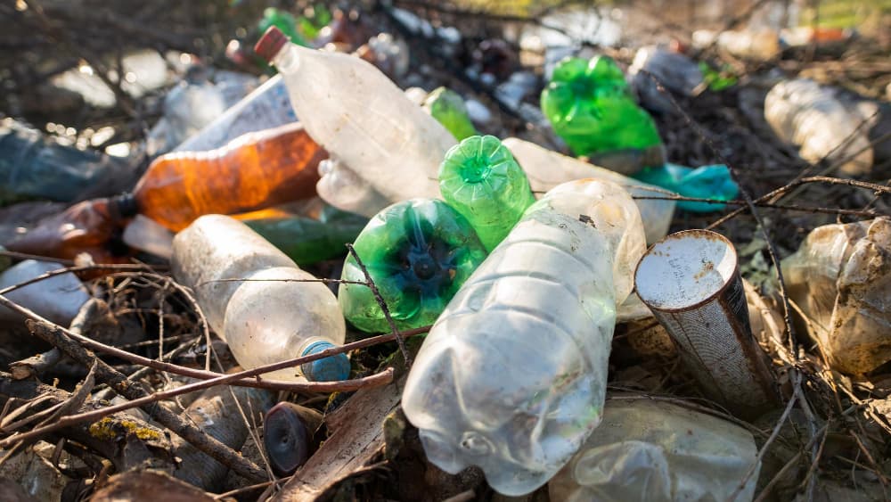 Reciclagem De Plasticos No Brasil Estudo Aponta Indice De 243 Para As Embalagens Em 2023