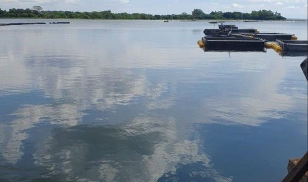 Tragedia No Parana Trabalhador Que Nao Sabia Nadar Morre Afogado Apos Barco Transbordar Em Tanque De Peixes