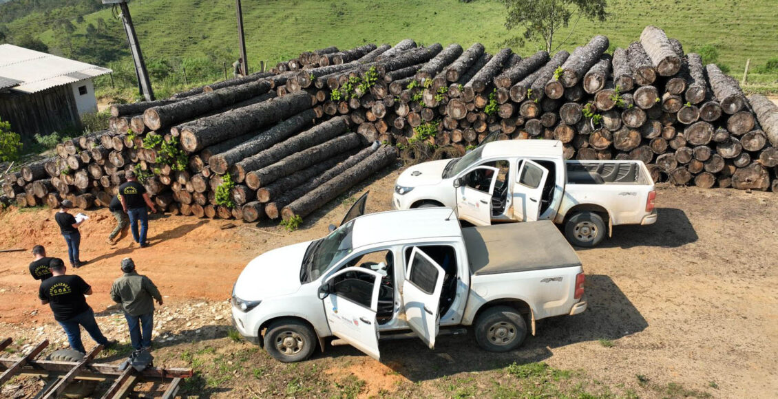 Multa Por Crimes Ambientais Cresce 24 No Parana Entre Janeiro E Novembro De 2024