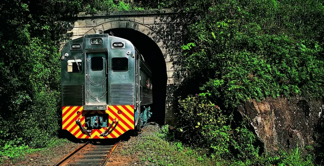 Curitiba Morretes (através Da Serra Verde Express)