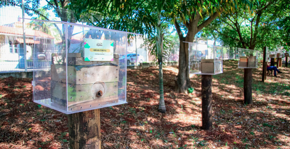 Maringa Promove Conscientizacao Ambiental Com O Projeto Recanto Das Abelhas