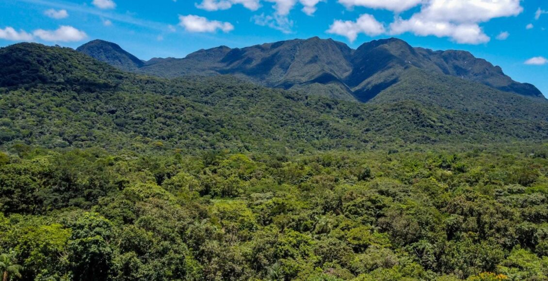 Morretes, 13 De Dezembro De 2023 Serra Do Mar Paranaense, Em Morretes.