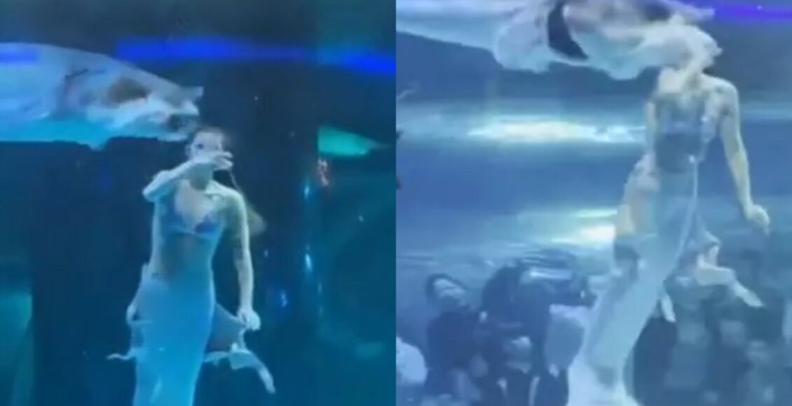 Video Peixe Morde A Cabeca De Sereia Durante Apresentacao Em Aquario