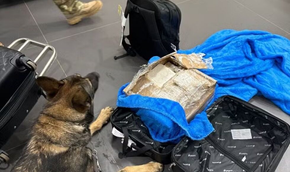 Adolescente De 17 Anos E Apreendida Por Esconder Maconha E Cocaina Dentro De Malas Em Aeroporto Do Pr