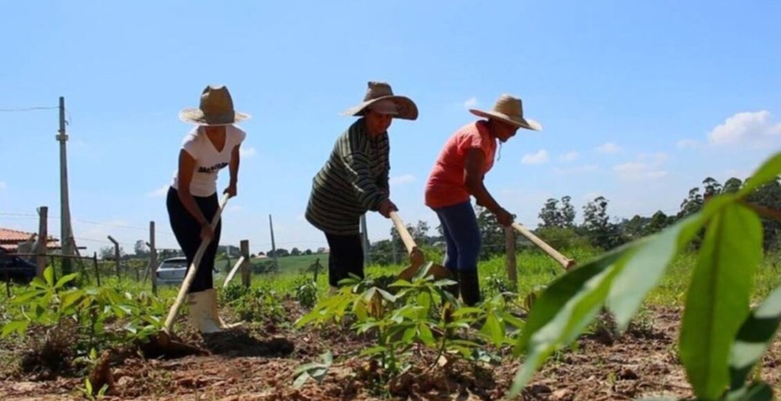 Programa Desenrola Rural Entra Em Vigor Nesta Segunda 24