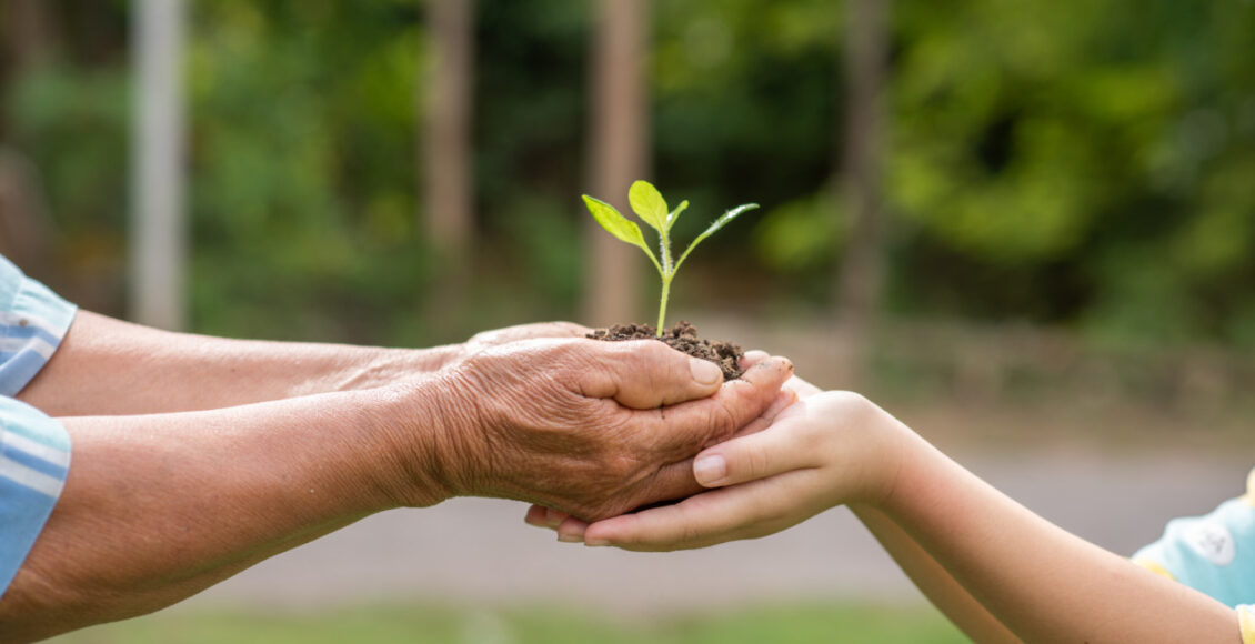 Between The Hands Of The Elderly And Children