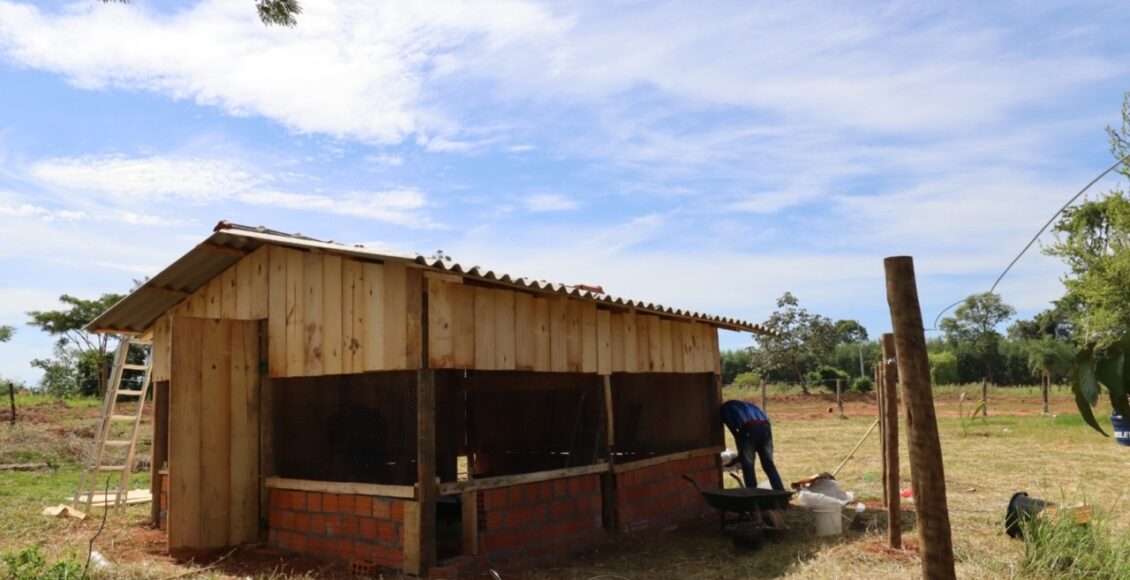 Galinheiros Comunitarios Fortalecem Seguranca Alimentar Em Comunidades Indigenas Do Parana