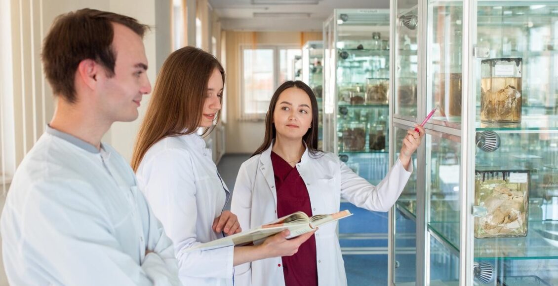 Qual A Importancia Do Curriculo Medico Para A Prova De Residencia
