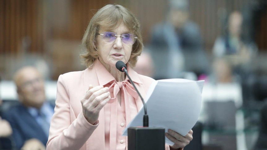 Deputada Luciana Rafagnin Solicita Dados Sobre Nascimentos Prematuros E Obitos Neonatais No Parana