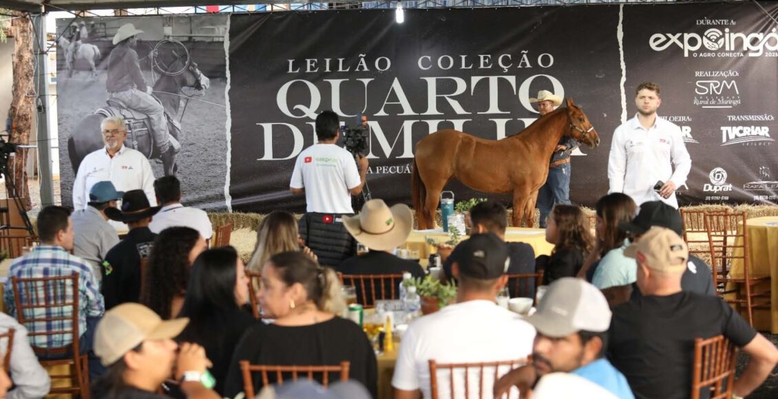 Leilao De Cavalos Quarto De Milha Movimenta Expoinga Com Tradicao Negocios E Solidariedade